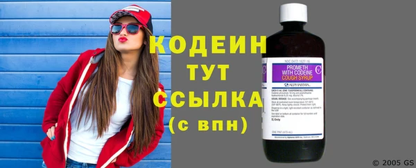 ECSTASY Няндома