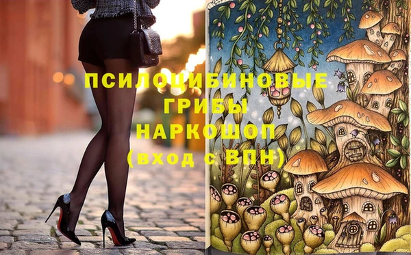 ECSTASY Няндома