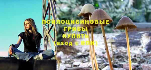 крисы Нязепетровск