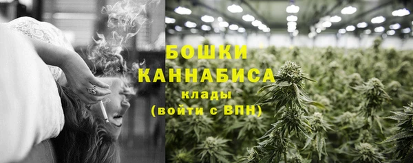 ECSTASY Няндома